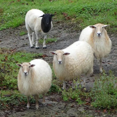 En La Colina 1 Montanealde Lejlighed Fica