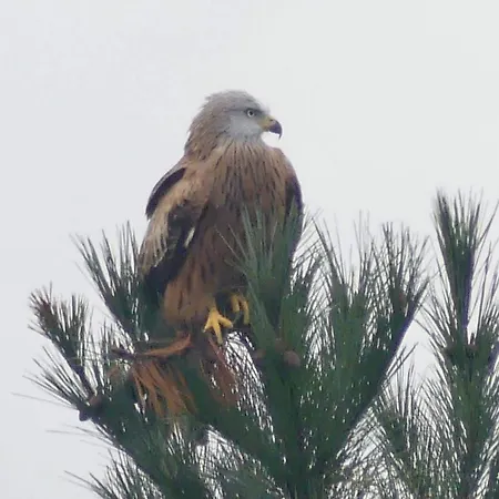 En La Colina 1 Montanealde Lejlighed Fica