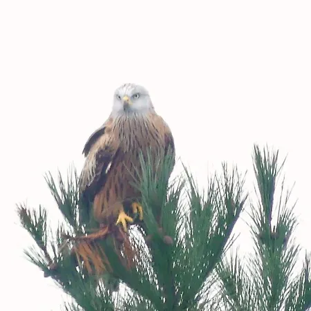 Appartement En La Colina 1 Montanealde Fica