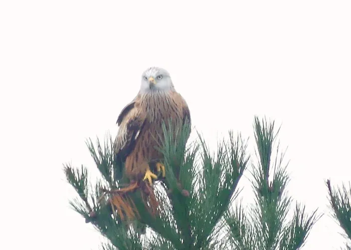Apartment En La Colina 1 Montanealde Fica