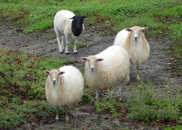 En La Colina 1 Montanealde Apartment Fica